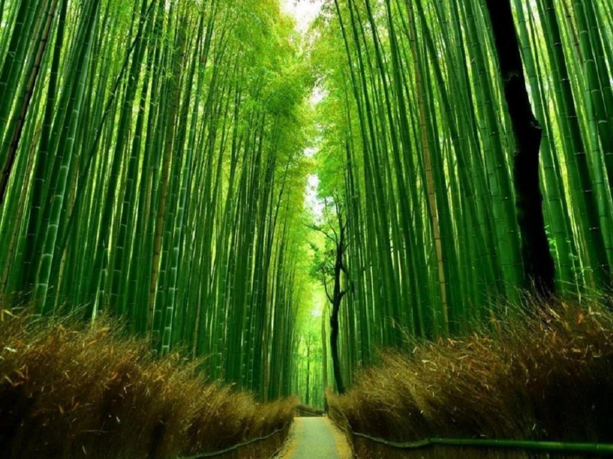 行灯離れ京都五条 Andon Hanare Kyoto Gojo Exterior foto